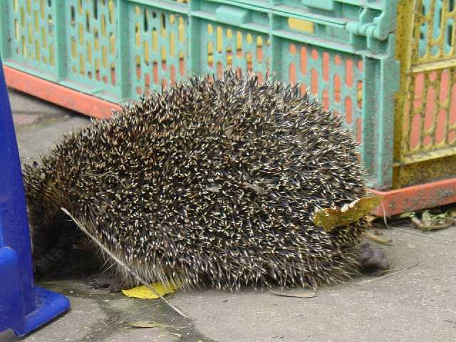 DSC01635.JPG