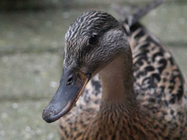 PICT3079.JPG