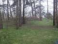 PICT3081