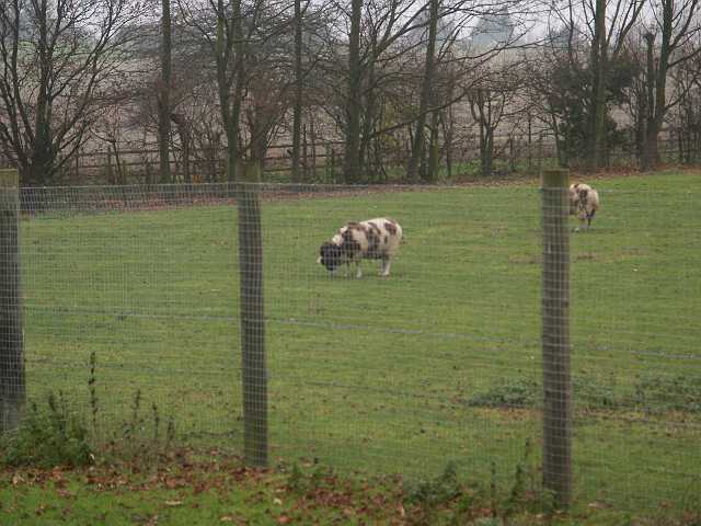 PICT3264.JPG