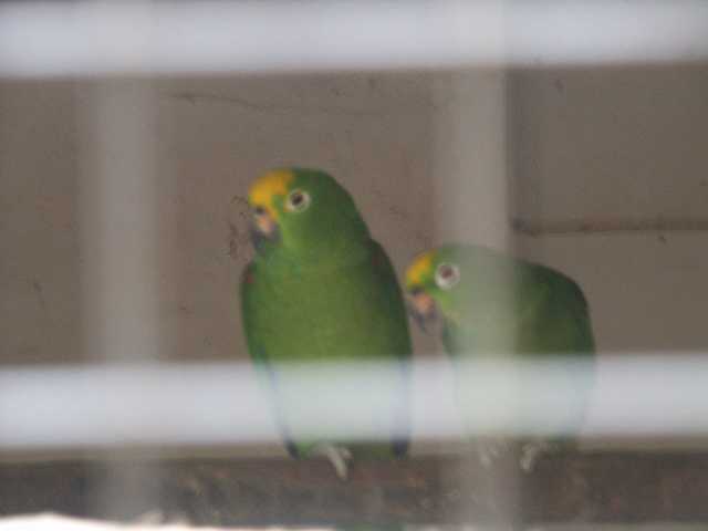 PICT3269.JPG