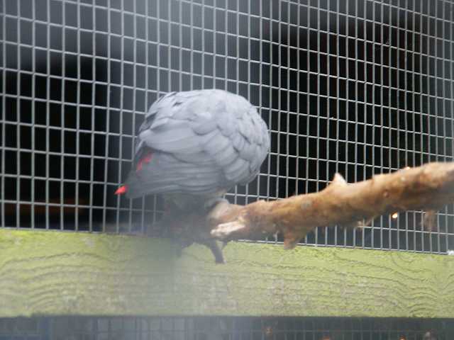 PICT3270.JPG