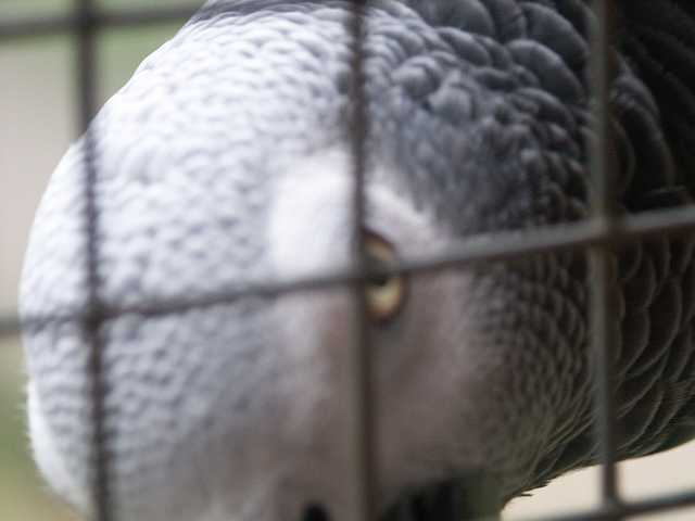 PICT3273.JPG