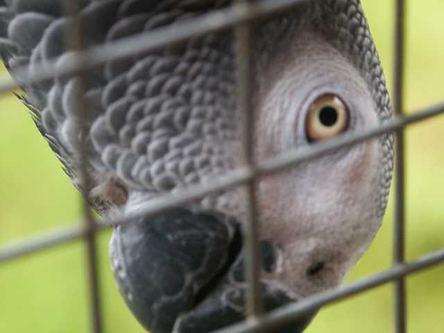 PICT3274.JPG