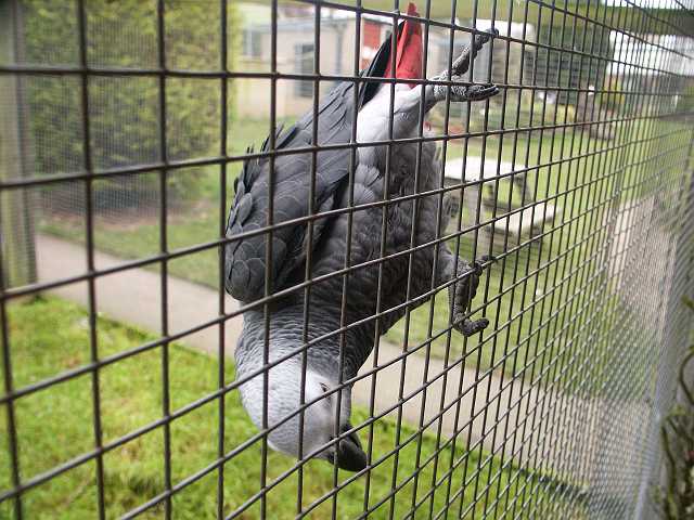 PICT3276.JPG