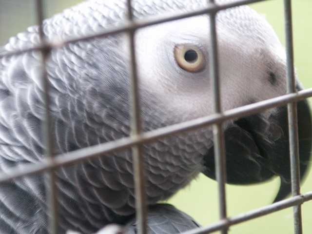 PICT3278.JPG