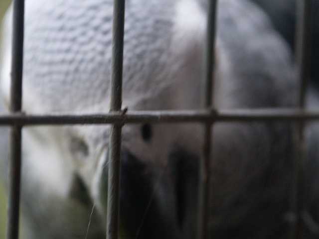 PICT3279.JPG