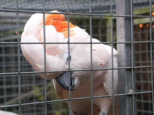 PICT3283.JPG