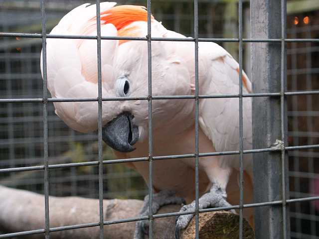 PICT3284.JPG
