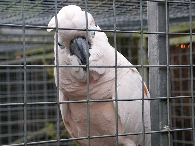 PICT3285.JPG