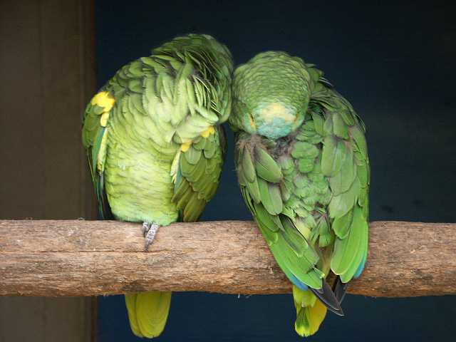 PICT3288.JPG