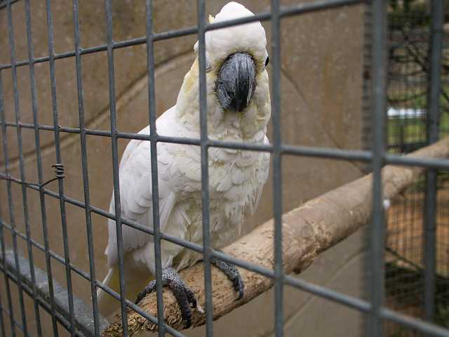 PICT3291.JPG