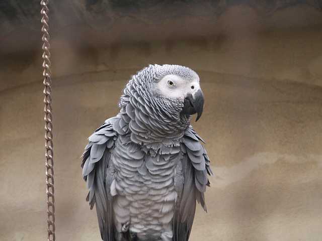 PICT3300.JPG