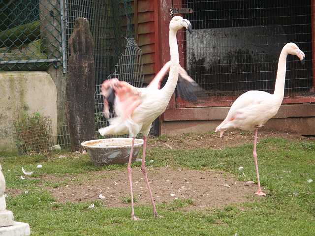 PICT3320.JPG
