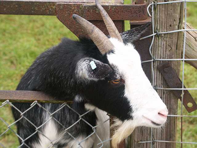 PICT3348.JPG
