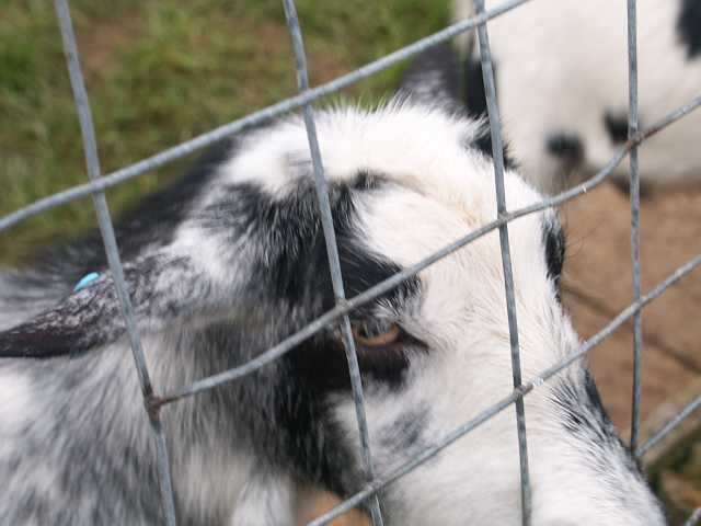 PICT3351.JPG