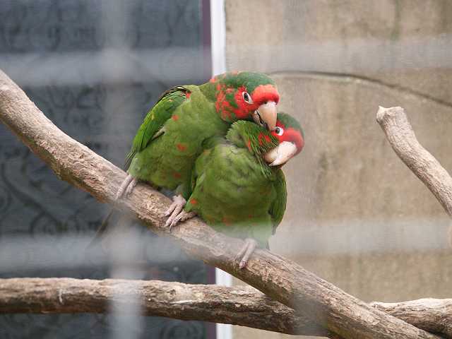 PICT3359.JPG