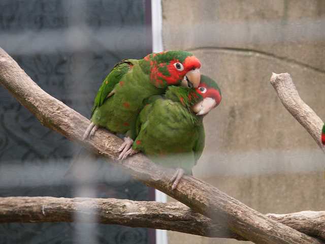 PICT3360.JPG