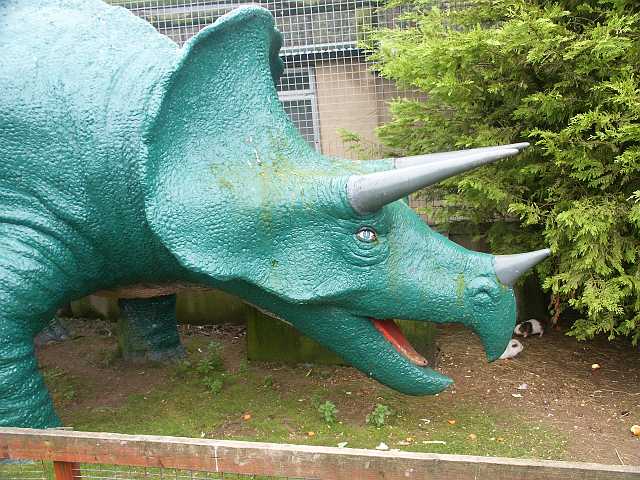 PICT3369.JPG