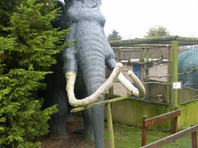 PICT3370.JPG