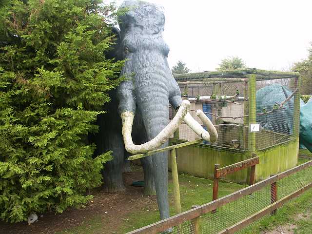 PICT3371.JPG