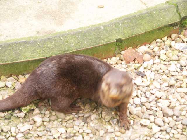 PICT3384.JPG