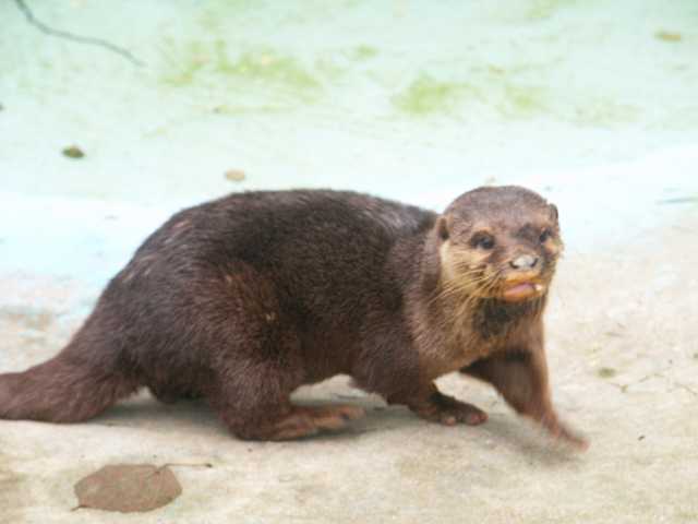 PICT3387.JPG