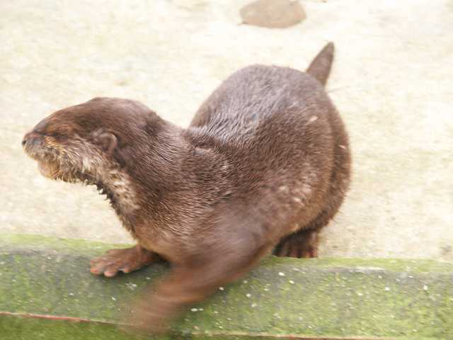 PICT3388.JPG