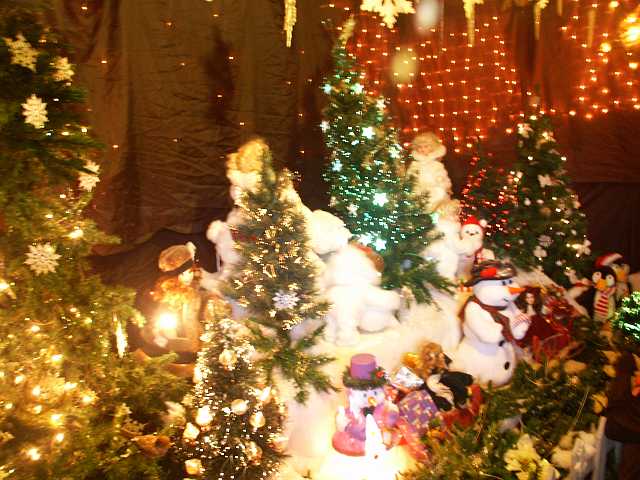 PICT3393.JPG