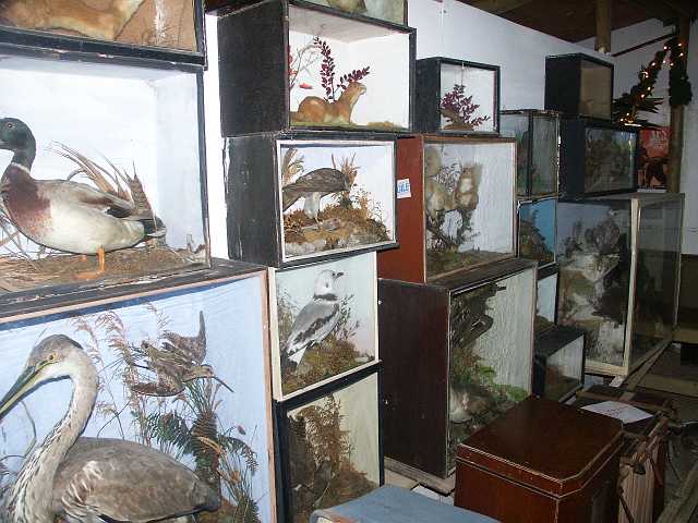 PICT3415.JPG