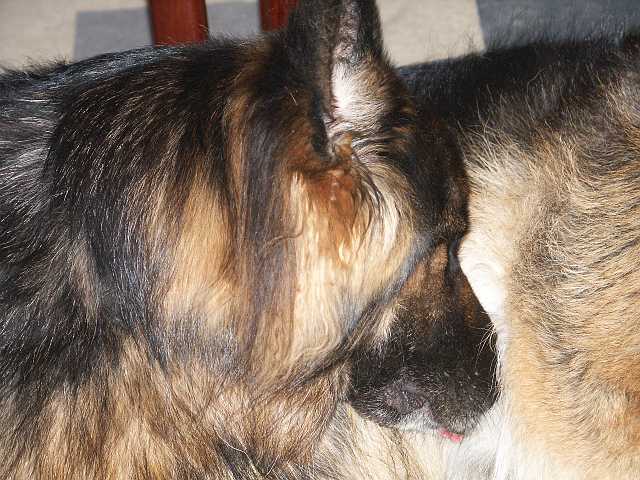 PICT3705.JPG
