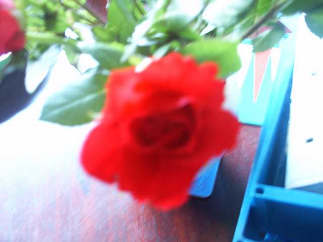 PICT3721.JPG