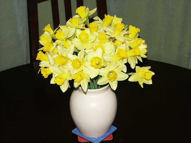 PICT3741.JPG