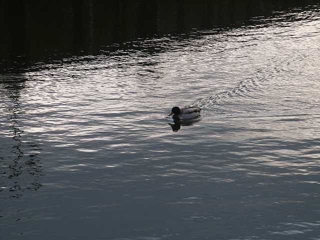 PICT3775.JPG