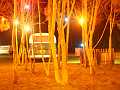 PICT3776
