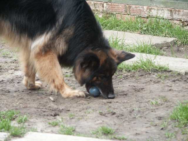 PICT3946.JPG