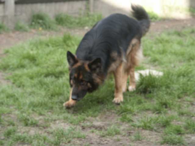PICT3950.JPG