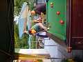 DSC01990