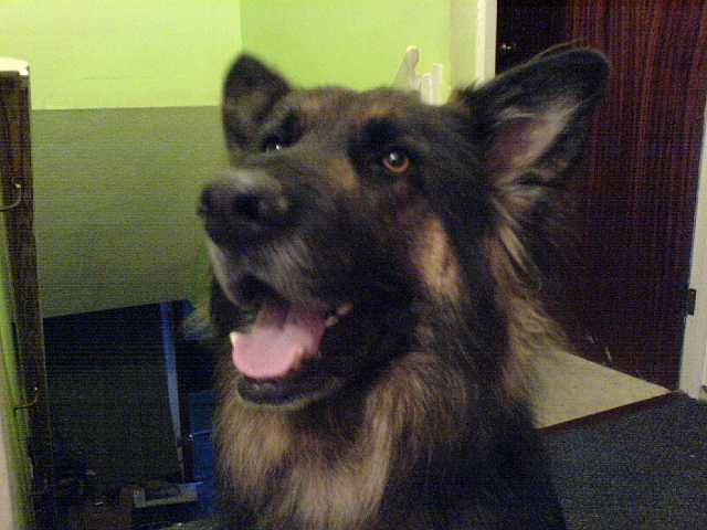 DSC00004.JPG