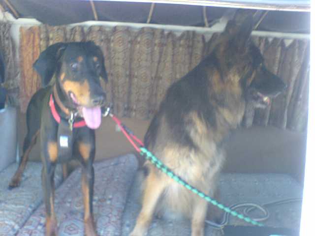 DSC00022.JPG