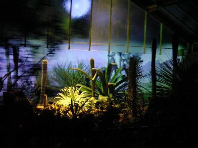 DSC02104.JPG