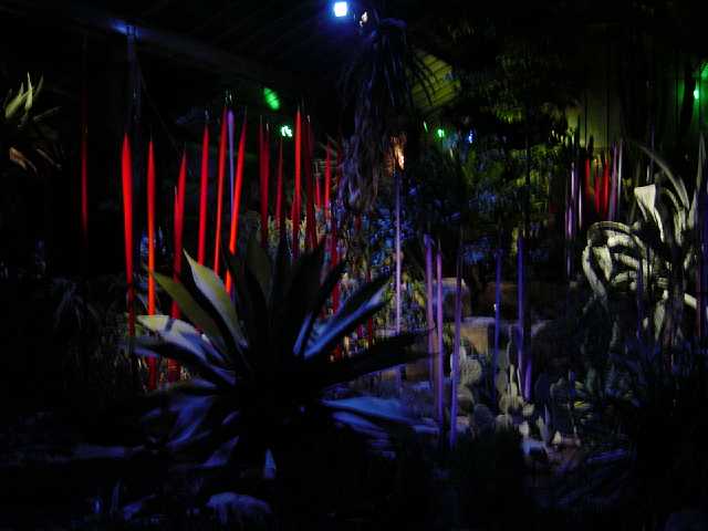 DSC02105.JPG