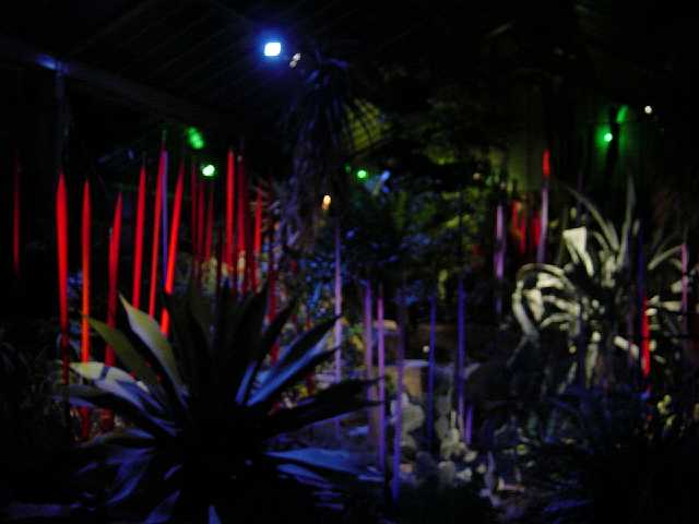 DSC02106.JPG