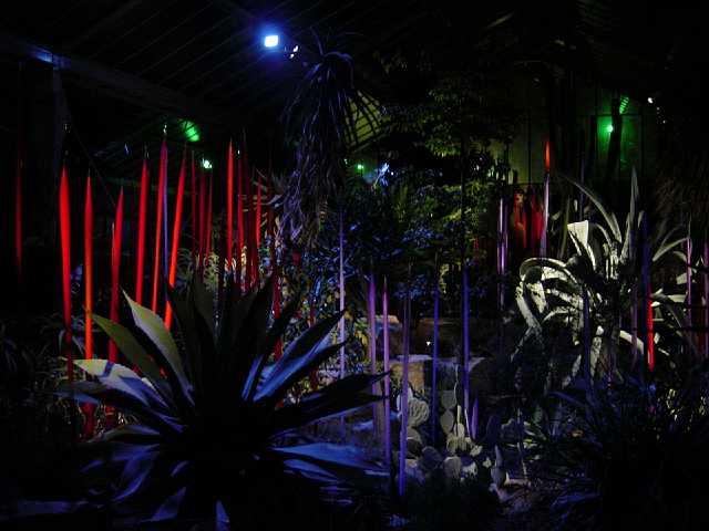 DSC02107.JPG