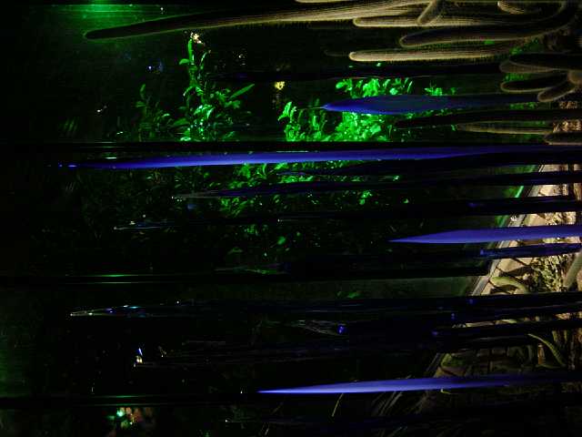 DSC02108.JPG