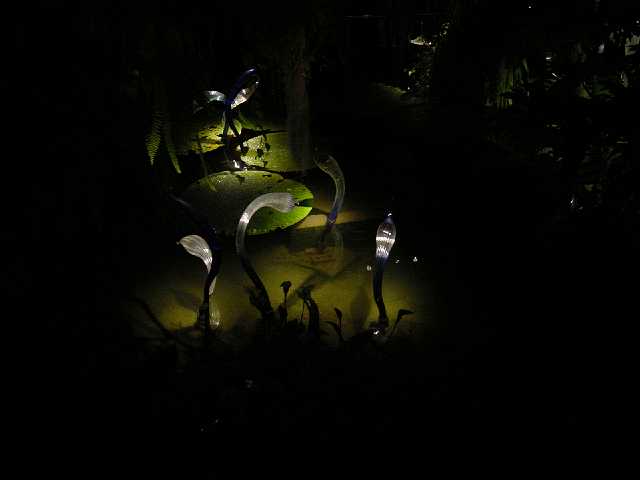 DSC02111.JPG