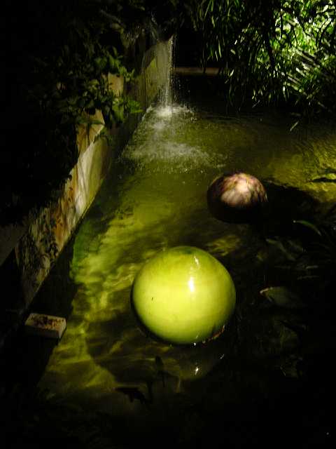DSC02113.JPG