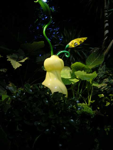 DSC02119.JPG