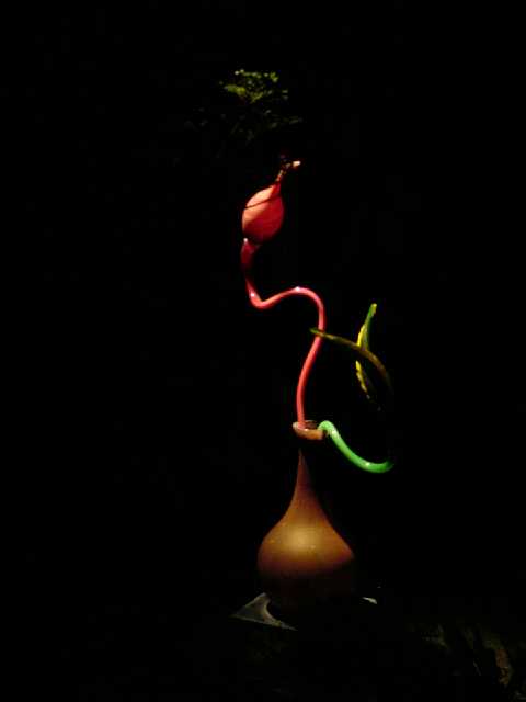 DSC02121.JPG
