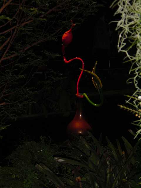 DSC02122.JPG